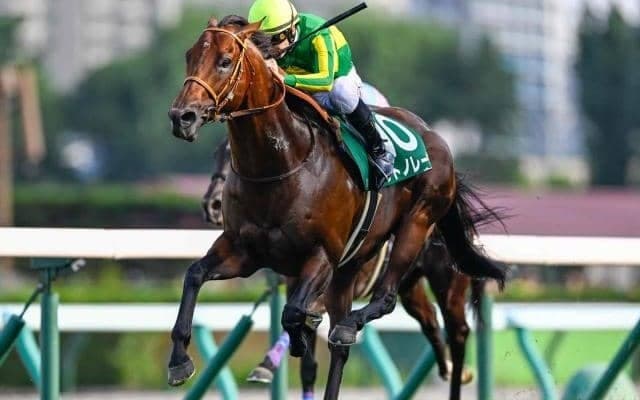 【スプリンターズS出走馬・騎手確定】サトノレーヴ＆D.レーン騎手、ママコチャ＆川田将雅騎手など16頭
