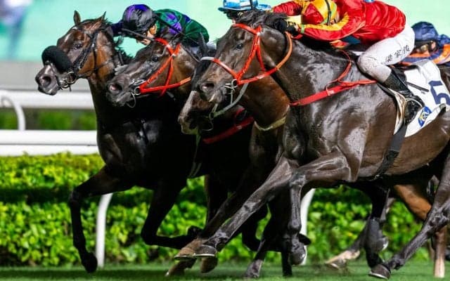 【スプリンターズS／全頭診断】馬券妙味は「3.0.0.0」合致の5歳馬　“枠次第で押さえるべき”穴候補は