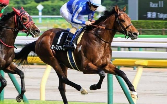 ディープ最終世代の3億円馬 川田騎手で今度こそのオープン入り狙う