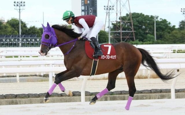【姫山菊花賞】パワーブローキングが重賞初制覇…川島正「強い相手にも挑みたい」