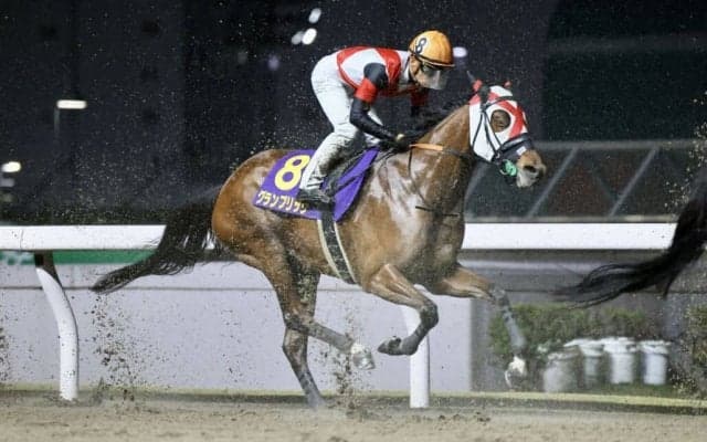 【レディスプレリュード】グランブリッジなどJRAは5頭…出走予定馬