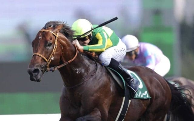 【スプリンターズS】サトノレーヴはプラス1キロ…調教後の馬体重