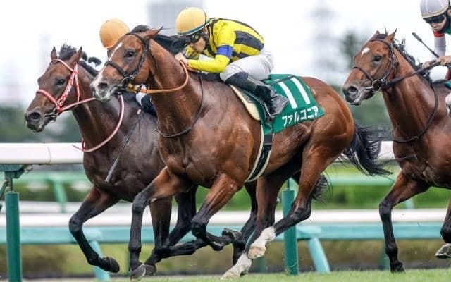 22年京成杯AH覇者ファルコニアが抹消 今後は乗馬に