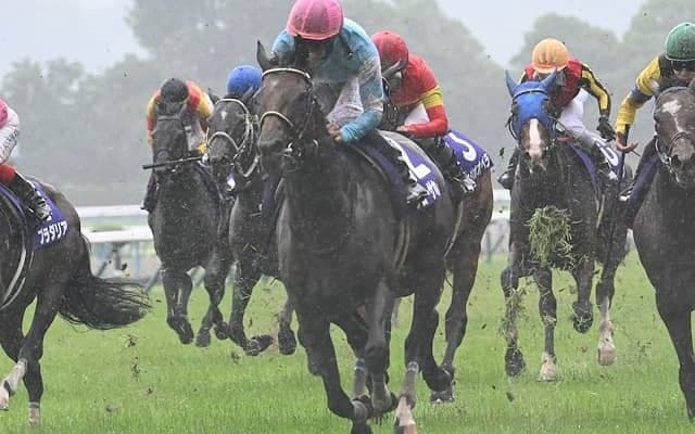 【京都大賞典想定馬・騎手】ブローザホーン、ディープボンドなど11頭