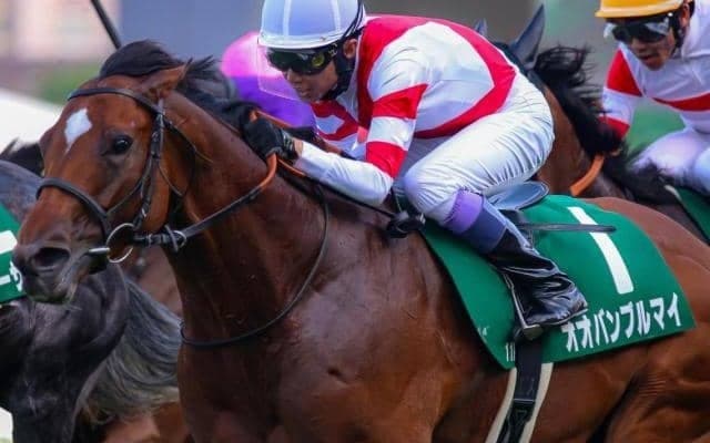 今週の武豊騎手は11鞍 オオバンブルマイで22年ぶりのスプリンターズS3勝目なるか