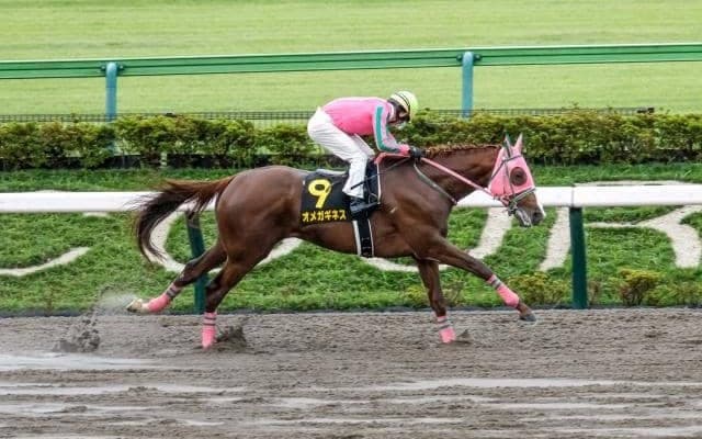 【今日の注目ポイント】中京でダートの中距離重賞・シリウスS
