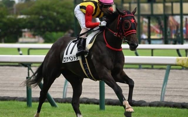 【中京5R新馬戦結果】イスラボニータ産駒ロケベンドラが突き抜け完勝