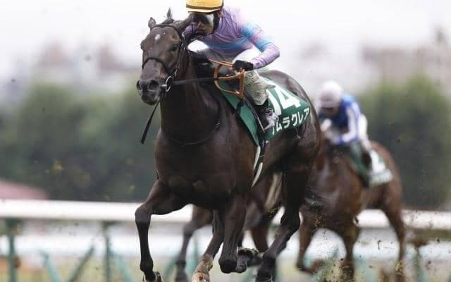 中山芝はディープ系が優勢 ナムラクレアが悲願のGI初制覇だ