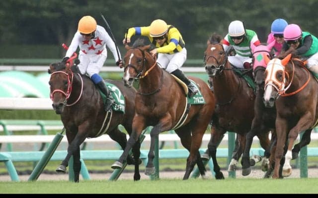 ファルコニアの競走馬登録抹消…重賞で活躍