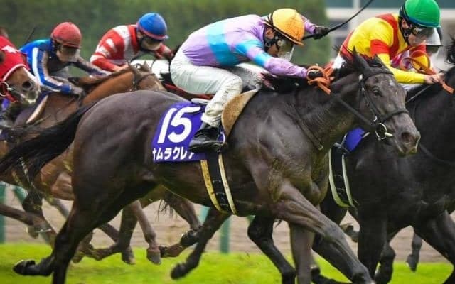 霜降り明星・粗品「3番人気は結構おいしい」 スプリンターズSは馬連・3連複・3連単フォーメーションで勝負