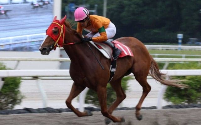 【高知・ミラク特別】グレートヒエンが2馬身差快勝…岡村「自信を持って乗った」