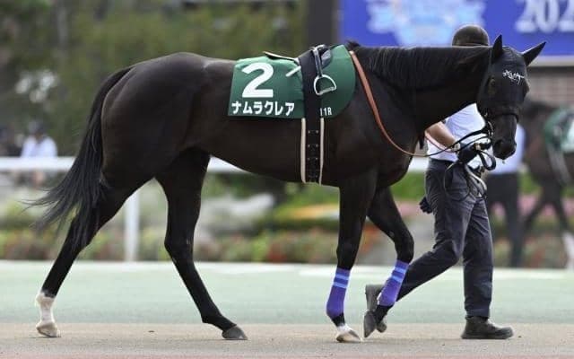 【今日の注目ポイント】中山で秋のスプリント王決定戦・スプリンターズS