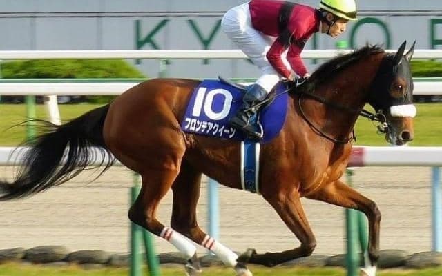 母は19年中山牝馬S覇者のフロンテアクイーン ブルーメサイアがデビュー