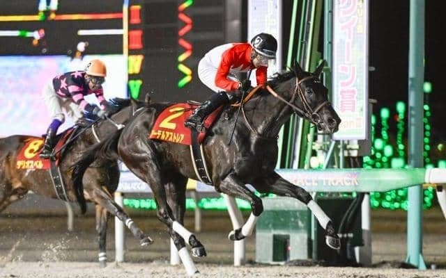 【大井・レディスプレリュード枠順】重賞連勝狙うアーテルアストレアは7枠7番