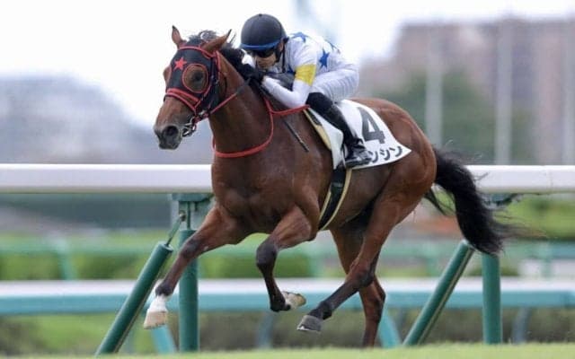 【新馬/中山3R】ビッグアーサー産駒 カンシンがデビューV