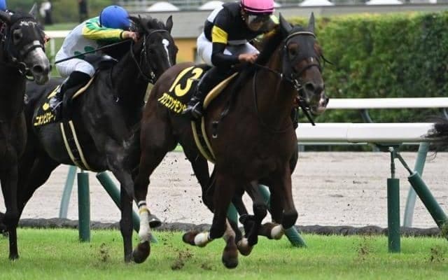 【ポートアイランドS結果】アスクコンナモンダが追い比べを制しオープン初勝利