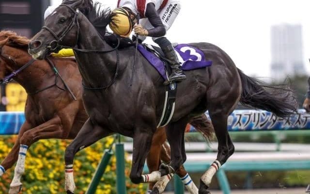【スプリンターズS】9番人気ルガルが復活V！ 人馬ともにGI初制覇！