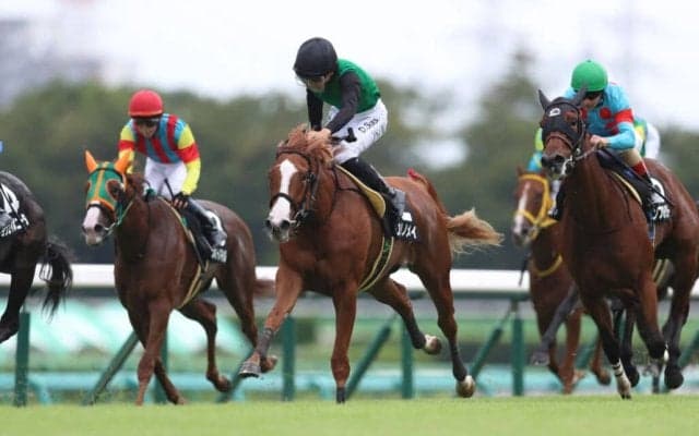 【サフラン賞】大接戦のゴール前！クリノメイが混戦を断つ…デビュー2連勝