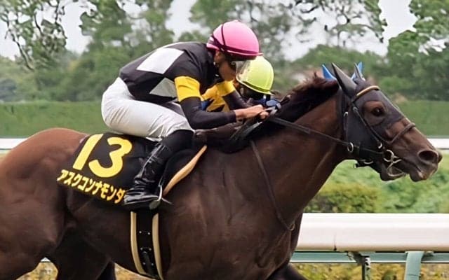【ポートアイランドS】アスクコンナモンダがオープン初勝利…1番人気ノーブルロジャーは6着