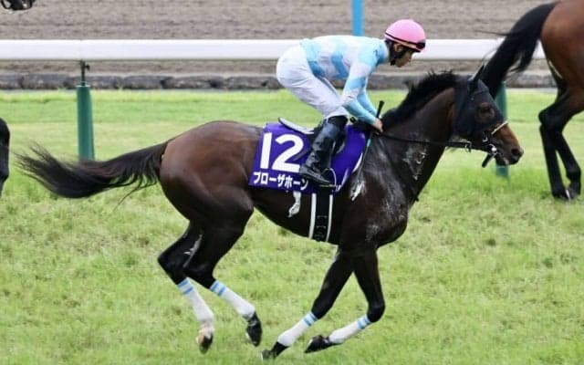 【京都大賞典登録馬】G1馬ブローザホーンなど11頭