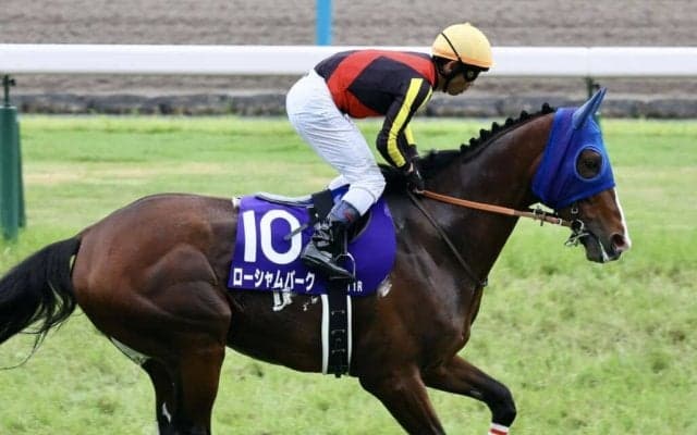 【毎日王冠登録馬】ローシャムパークなど15頭