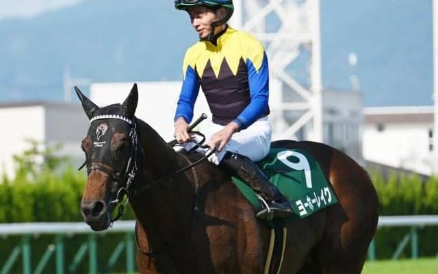 【毎日王冠見どころ】GI奪取へ向けて虎視眈々ヨーホーレイクの連勝に期待