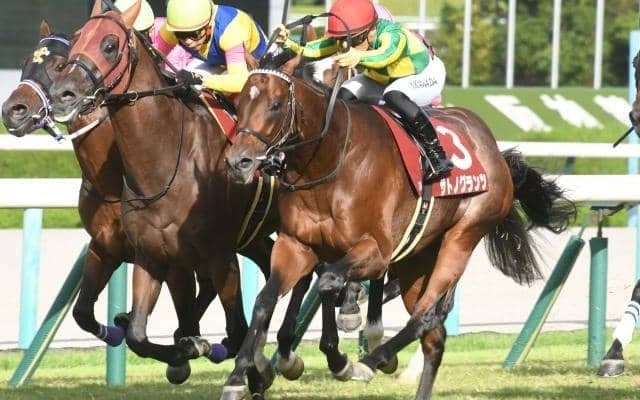 【京都大賞典見どころ】惜敗続きに終止符を打つサトノグランツ