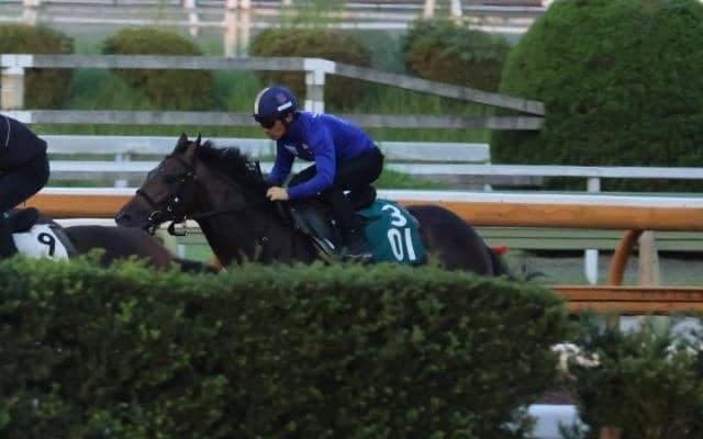 母系にジェンティルドンナなどGI馬ズラリの1.7億円馬 サトノブリジャールが川田将雅騎手と初陣/関西馬メイクデビュー情報