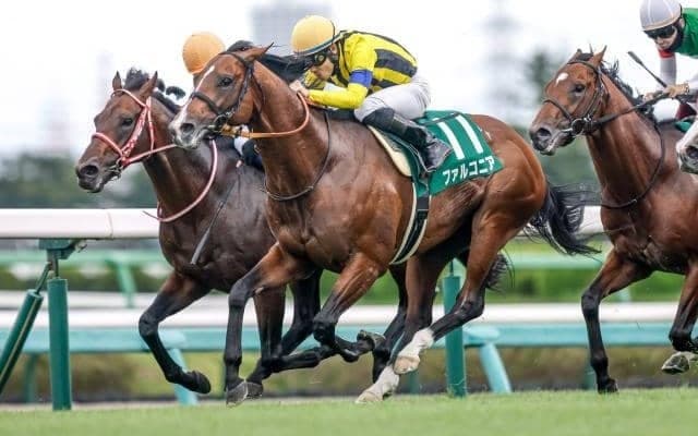 【先週のJRA抹消馬】22年京成杯AH覇者ファルコニア、芝短距離で活躍したシナモンスティックなど