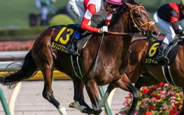 ダービー14着からの巻き返し狙う4.5億円馬 毎日王冠で史上最高額のJRA重賞勝ち馬となるか