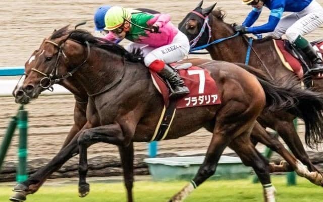 スーパークリーク＆テイエムオペラオーに続け！ GII・3勝の実績馬が京都大賞典23年ぶりの偉業に挑戦