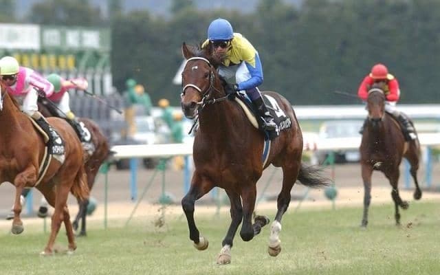 ディープインパクト没後5年 あなたが“怪物ぶり”感じたレースは？