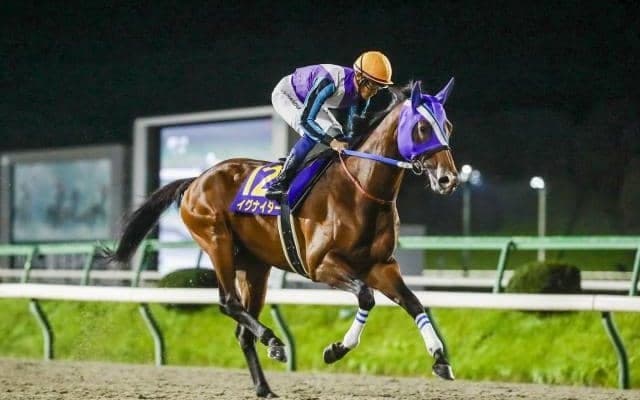 【大井・東京盃枠順】昨年のJBCスプリントを制したイグナイターは8枠13番