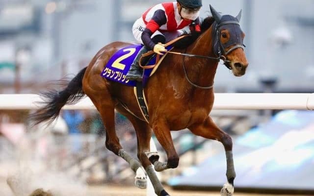 【大井・レディスプレリュード注目馬】中央馬は全て重賞ウイナー 7頭立てでもハイレベル