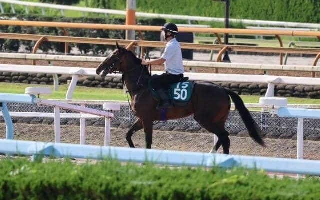 カルティカの2022(アークシャルダーム)など、先週のゲート試験/栗東トレセンニュース