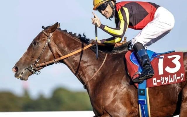【毎日王冠予想オッズ】ローシャムパークが予想1番人気