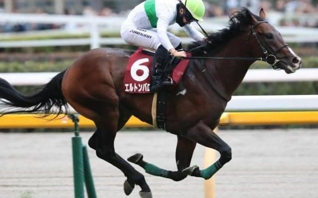 オグリキャップ以来史上2頭目の快挙達成へ 先週GI初制覇の若武者とエルトンバローズが毎日王冠に挑む