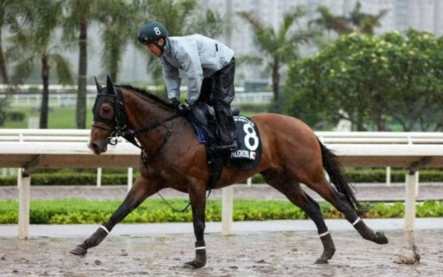 プログノーシス、ワープスピードのオーストラリア到着