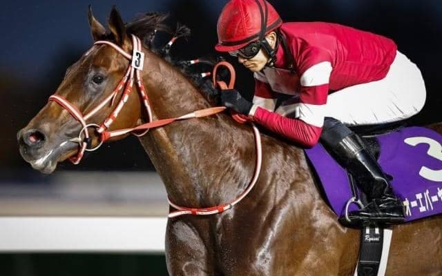 【大井・ジャパンダートクラシック注目馬】フォーエバーヤングら超豪華メンバー揃った ダート三冠最終戦