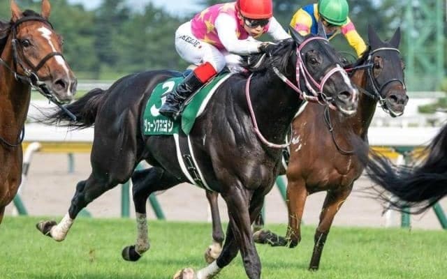 田口貫太騎手が京都大賞典でJRA重賞初制覇狙う 舞台巧者と初タッグで波乱呼ぶか