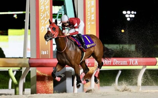 【JDC】フォーエバーヤングが圧勝…国内無敗を継続