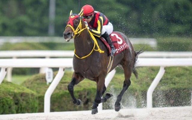 【東京盃】エートラックスは7枠12番へ