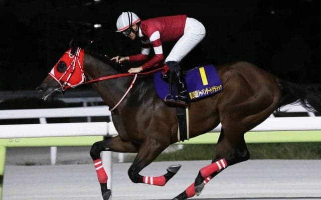 【ジャパンダートクラシック】フォーエバーヤングが世界トップレベルの走りで完勝　“瑠星コール”が鳴り響く