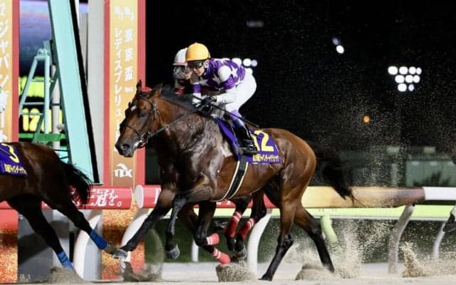 【JDC】武豊「左回りの方がいい」サンライズジパングは3着まで