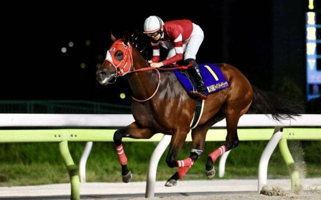 【JDC】矢作師「正直、八分程度」フォーエバーヤングいざアメリカへ