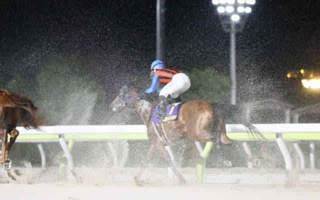 【JDC】吉原「気持ちよく走ってくれた」高知シンメデージーは5着