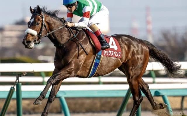 【毎日王冠展望】高速決着になりやすくマイラータイプが台頭するレース