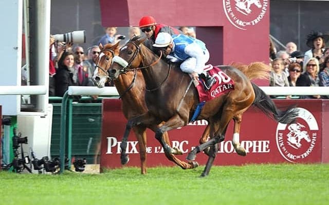 「勝ち馬が2頭いた」と称えられた馬も… 凱旋門賞で頂点をつかみかけた日本馬3頭