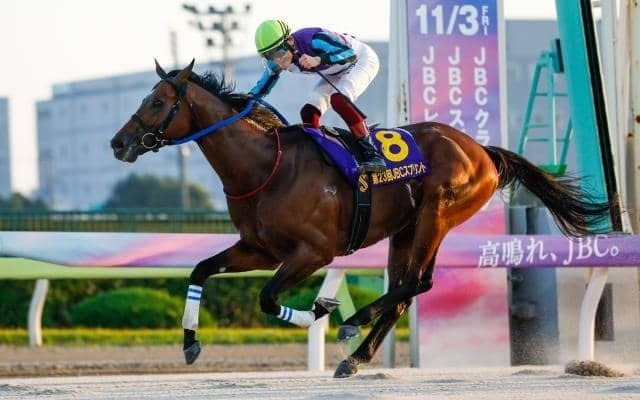 【大井・東京盃注目馬】伝統の短距離重賞 JpnI馬2頭を含む実績馬集結