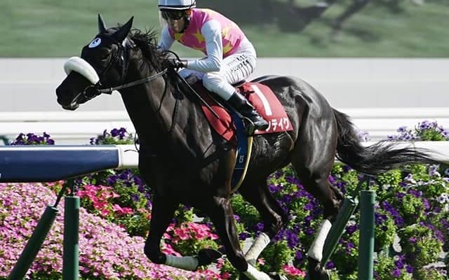 京都新聞杯覇者ジューンテイクに左前浅屈腱炎が判明 9か月以上の休養の見込み